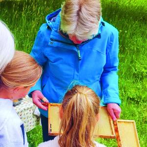 Scharrelkids-doedag zomer 2025