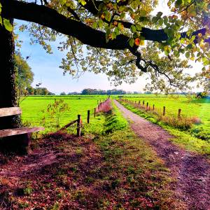 Herfsttintentocht, wandeling met gids