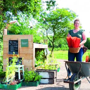 Lezing ‘De Plantaardige Verleiding’ door Bianca Harink
