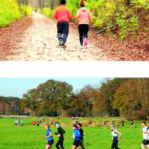 Iphitos hardloopclinic Twentse Smokkel Trail