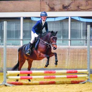 Paardensportevenement Martiniruiters in Losser