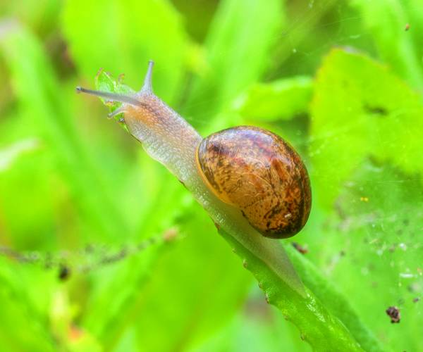 Kijk, geniet & bewonder...... BELEEF DE NATUUR! Wat zie ik precies?