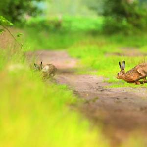 Kijk, geniet & bewonder......<br />BELEEF DE NATUUR! Wat zie ik precies?