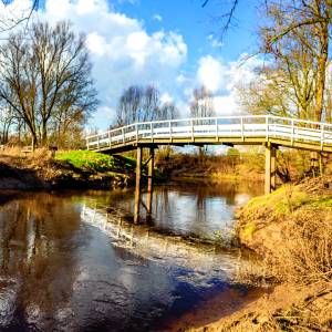 Voorjaarswandeling Dinkeldal/Zandbergen op 3 en 7 mei