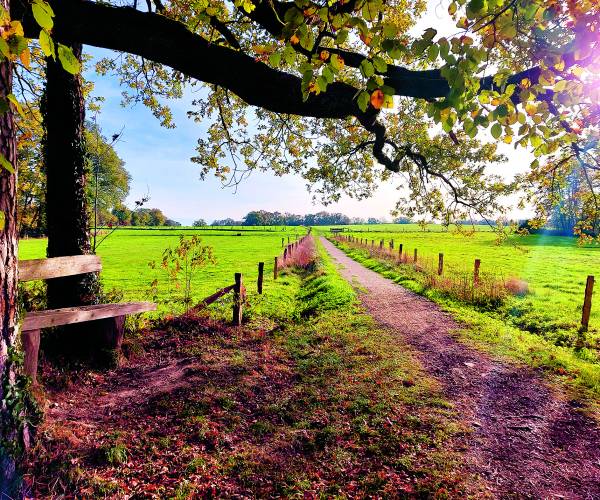 Herfsttintentocht, wandeling met gids